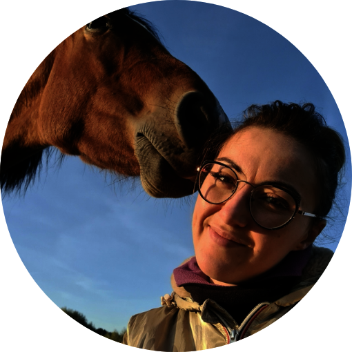 Éducatrice spécialisée Valenciennes