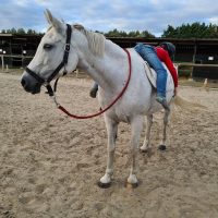 243049212_110277108082138_8295729486250754218_n-1 educatrice social Valenciennes